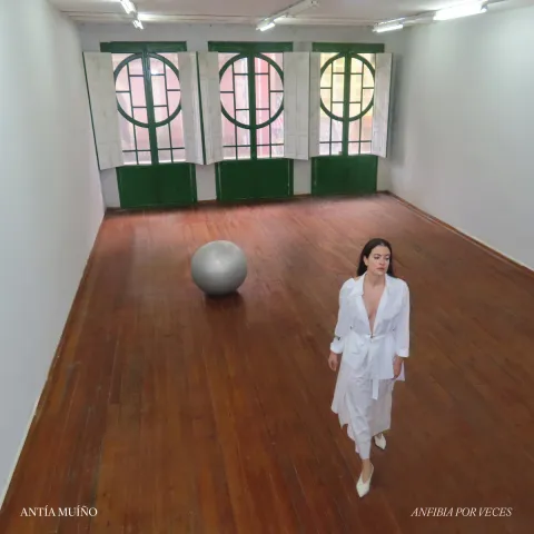 Portada de Anfibia Por Veces