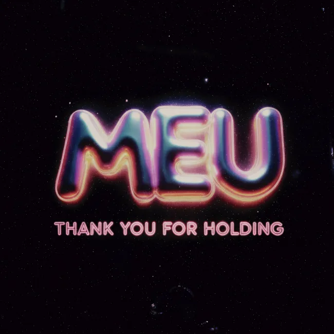 Portada de Thank You For Holding