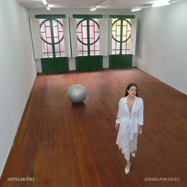 Portada de Anfibia Por Veces