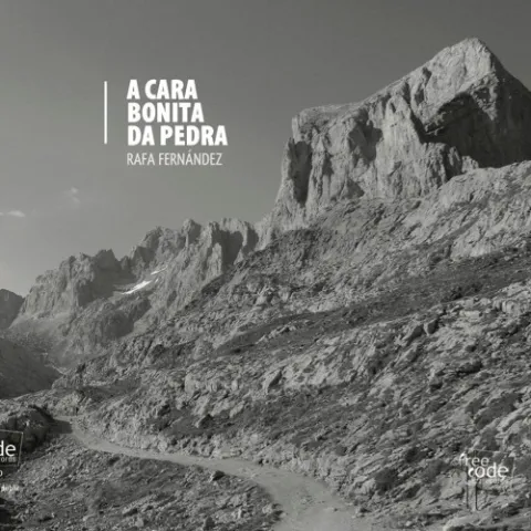 Portada de A cara bonita da pedra