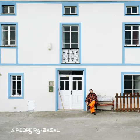 Portada de Basal