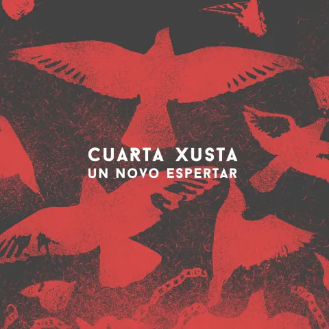 Portada de Un novo espertar