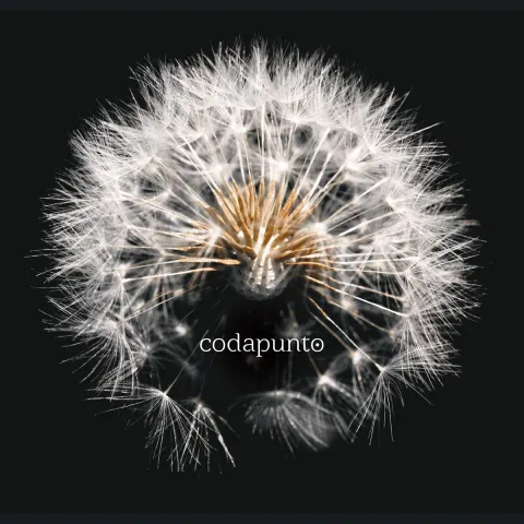 Portada de Codapunto